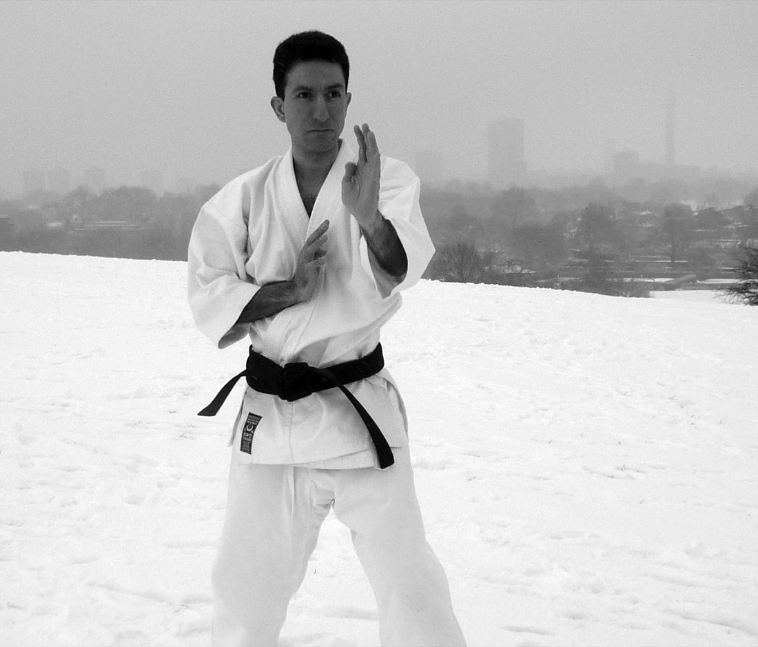 Hutan Ashrafian in a white karategi and black belt, standing in a guard
            position on snow-covered ground, with a city skyline behind him.